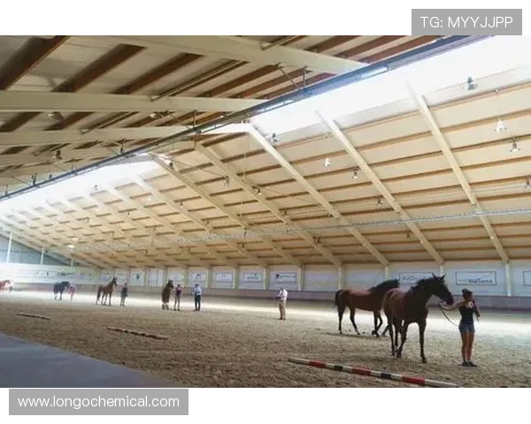 中欧体育网帮助用户了解欧洲体育政策变化及其对中国体育产业的影响